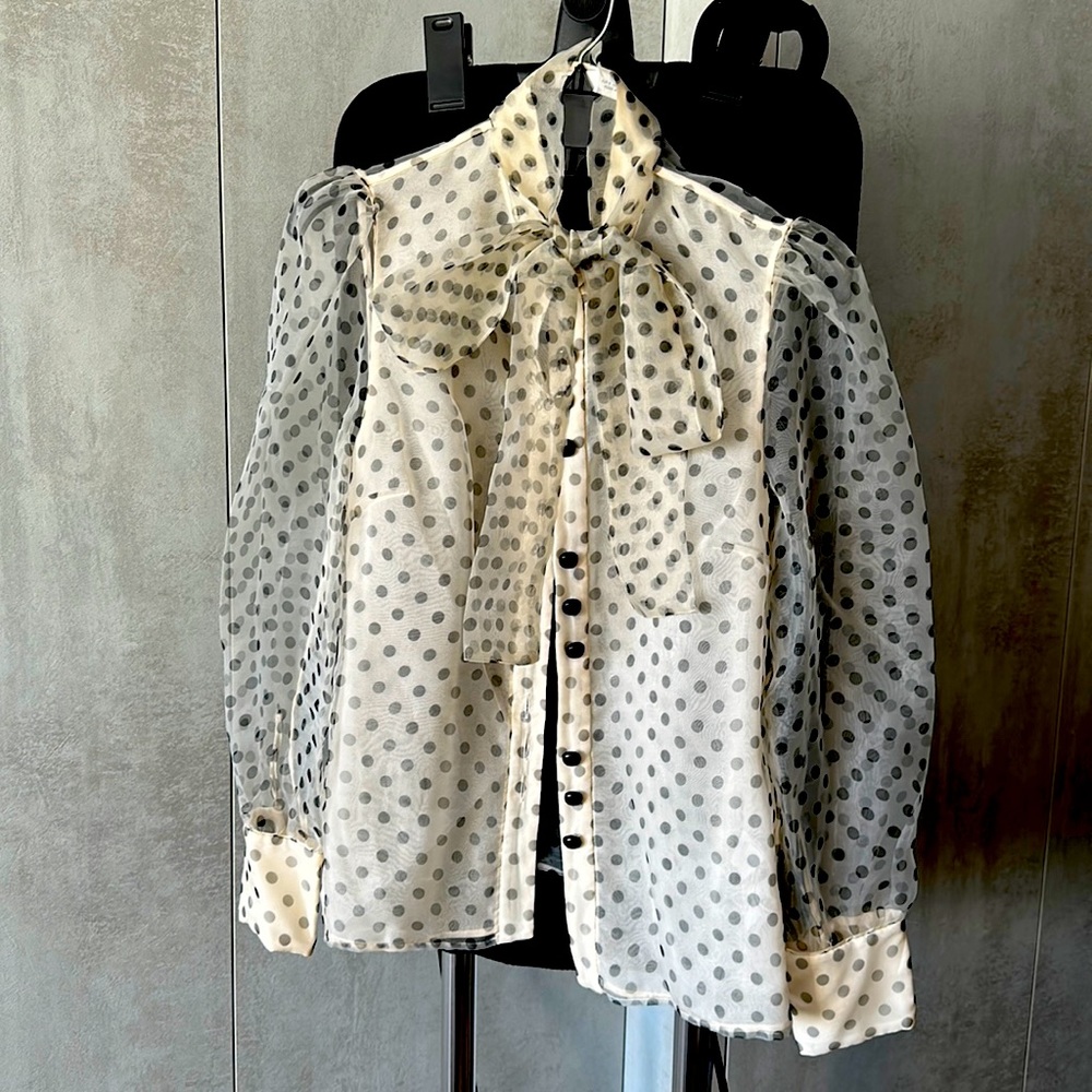Zara Sheer Back Poco Dot Bow Blouse Size S